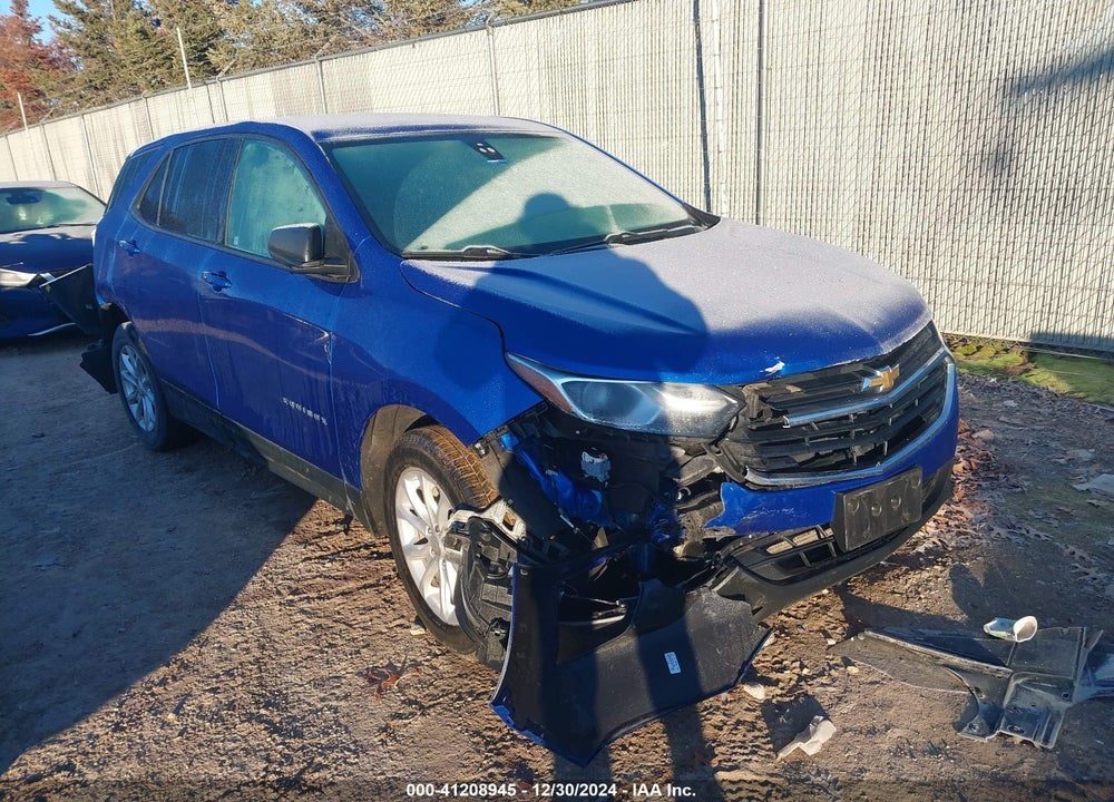 2019 CHEVROLET EQUINOX LS VIN: 3GNAXHEV2KS574606
