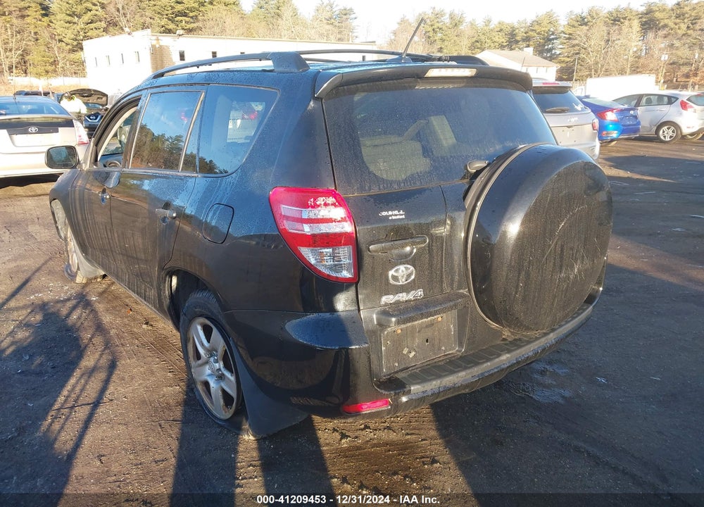 2010 TOYOTA RAV4 VIN: JTMBF4DV7AD029851