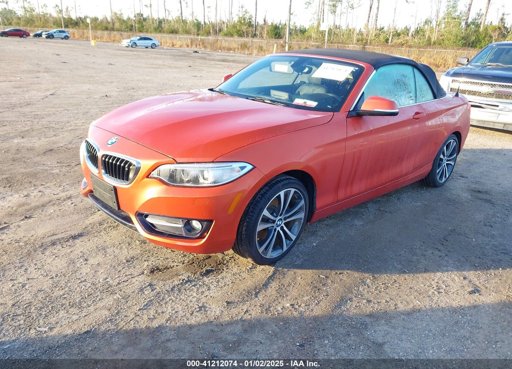2016 BMW 228I VIN: WBA1L9C59GV767847