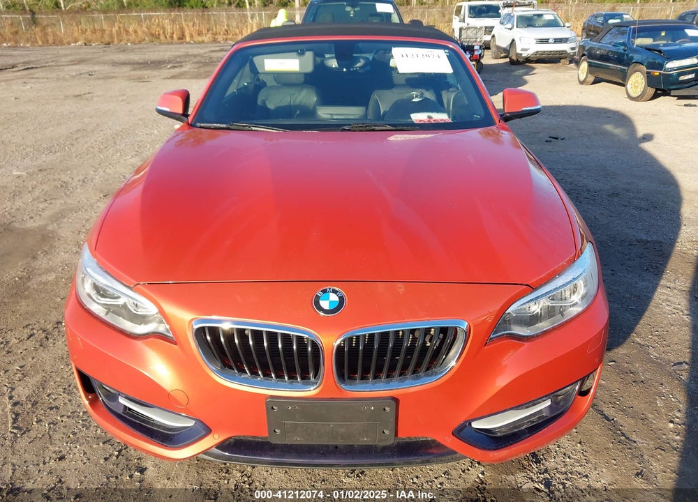 2016 BMW 228I VIN: WBA1L9C59GV767847