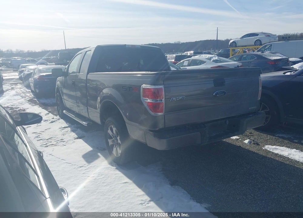 2013 FORD F150 VIN: 1FTFX1CF8DKD57142