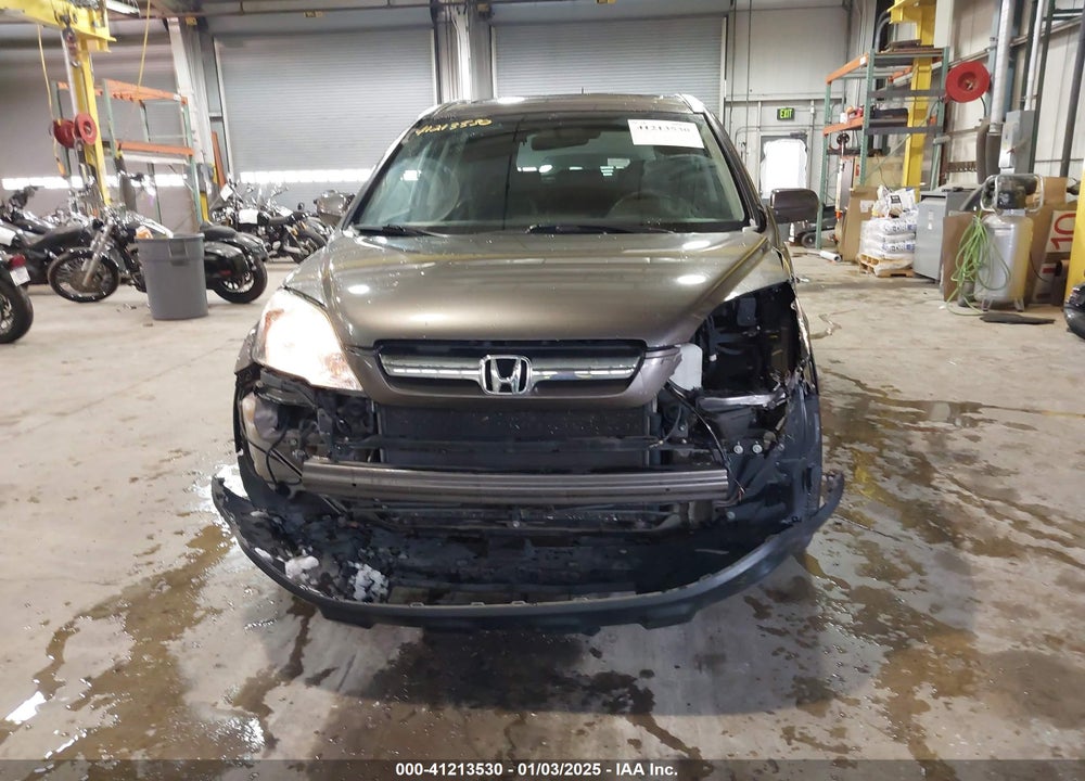 2009 HONDA CR-V EX-L VIN: 5J6RE48799L048829