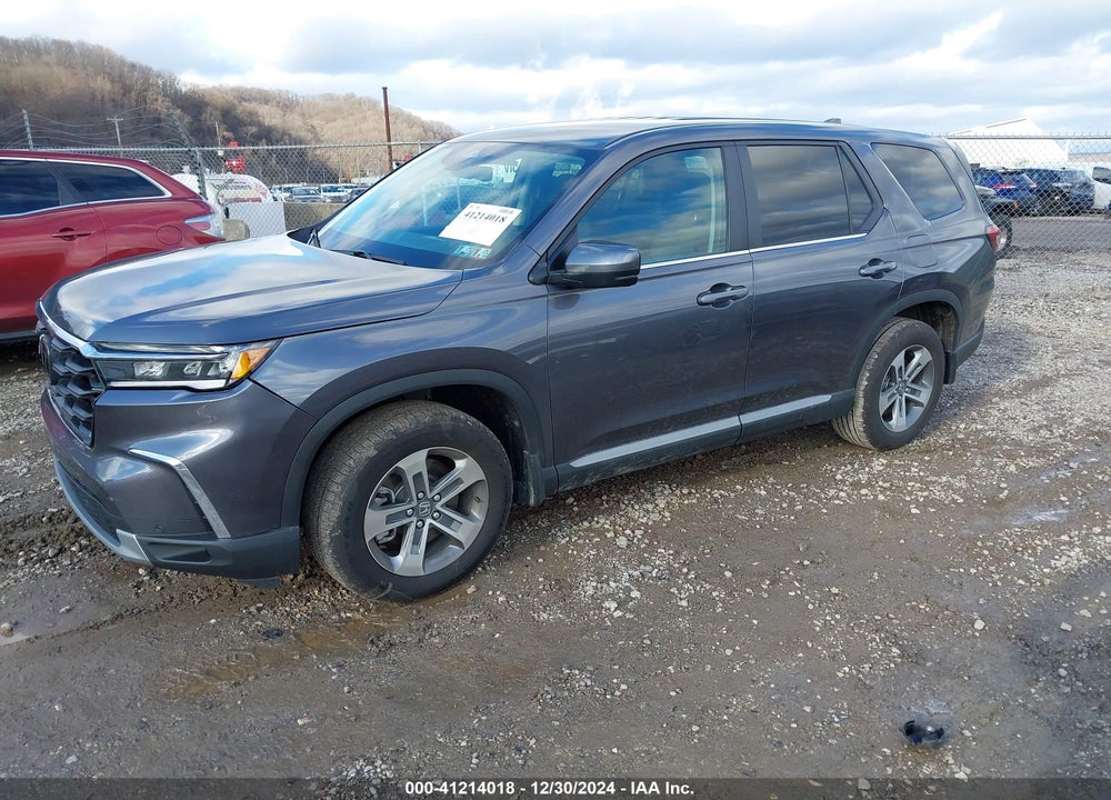 2025 HONDA PILOT EX-L VIN: 5FNYG1H41SB033542