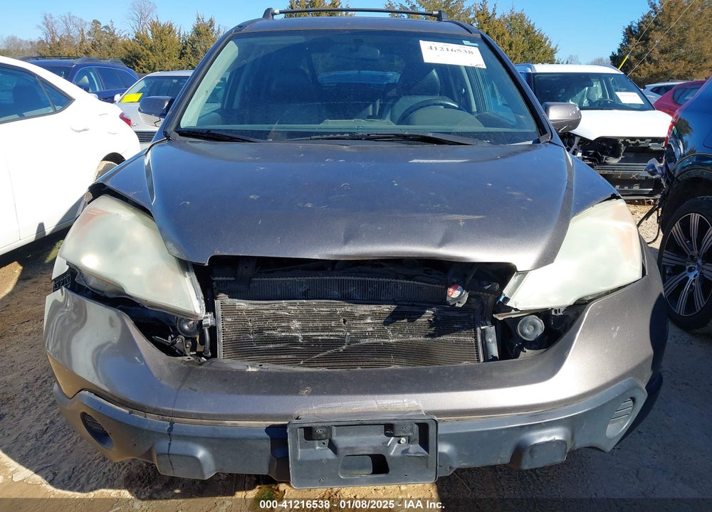 2009 HONDA CR-V VIN: 5J6RE387X9L020757