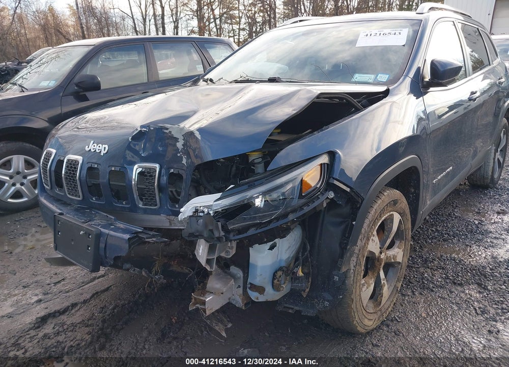 2019 JEEP CHEROKEE LIMITED 4X4 VIN: 1C4PJMDX6KD431111