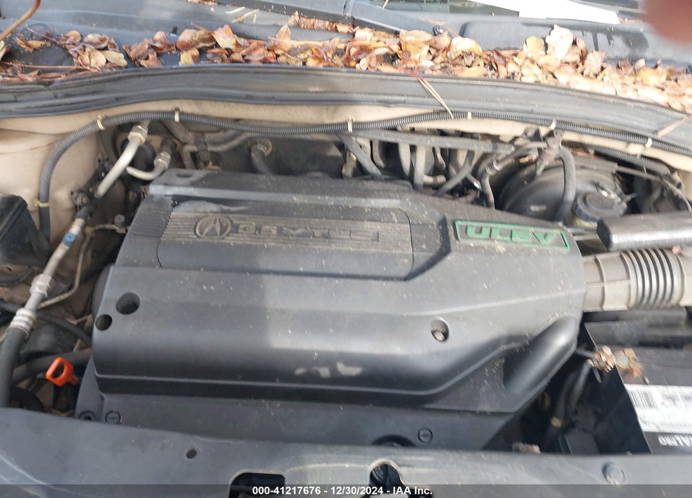 2001 ACURA MDX VIN: 2HNYD18611H501668