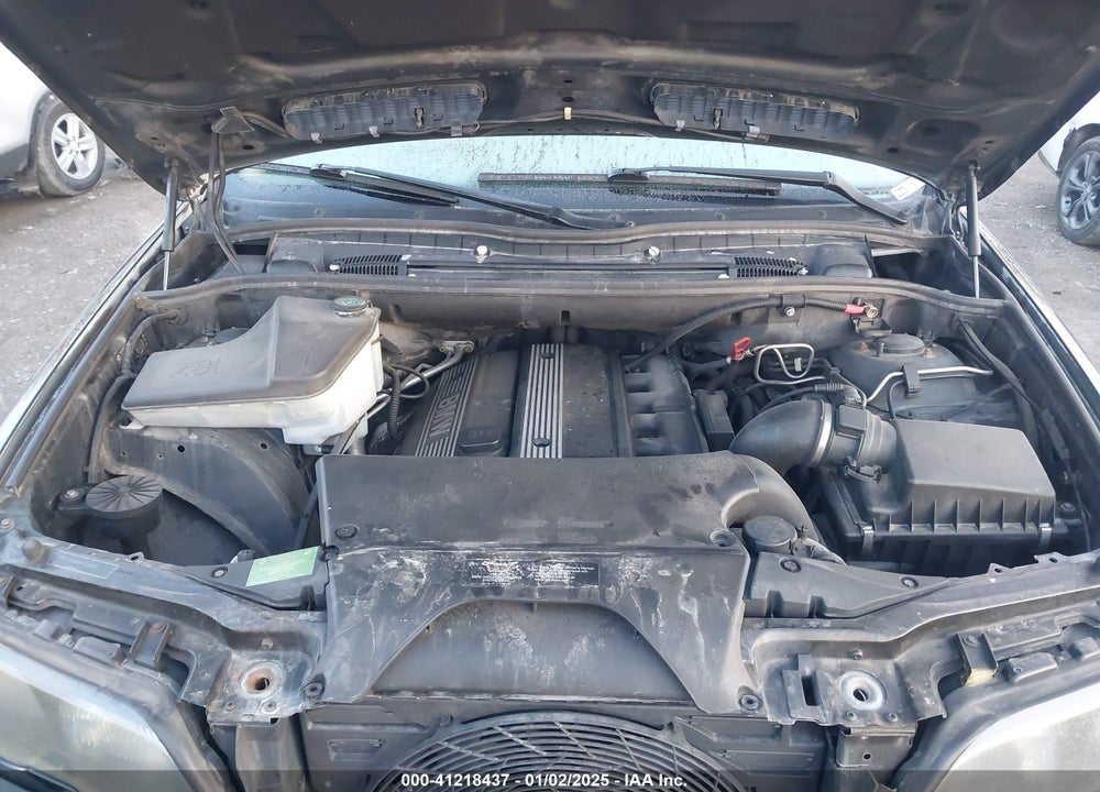 2003 BMW X5 3.0I VIN: 5UXFA53593LV98909