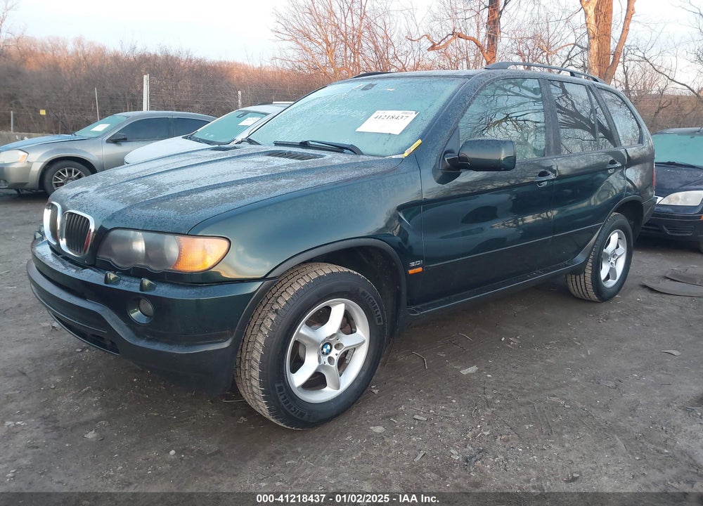 2003 BMW X5 3.0I VIN: 5UXFA53593LV98909