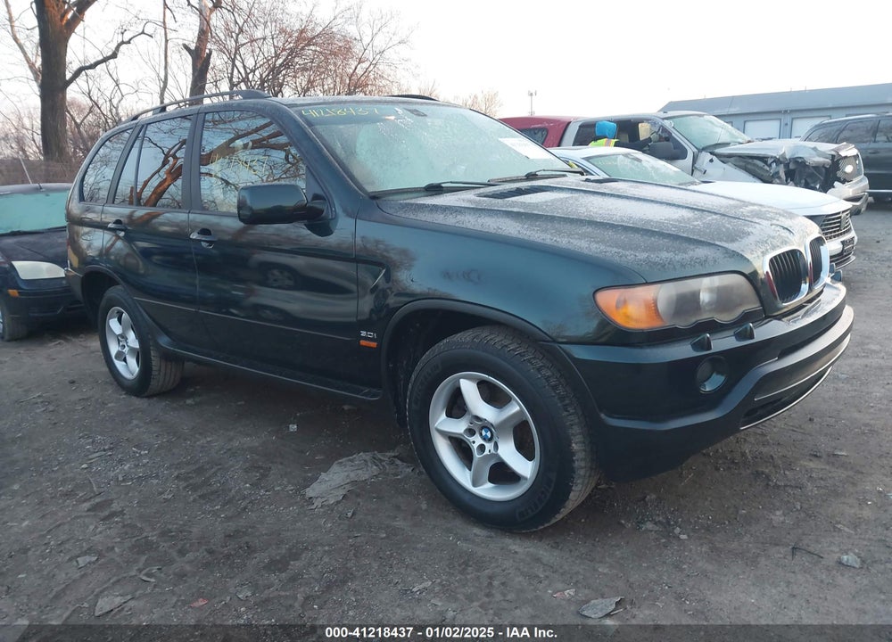 2003 BMW X5 3.0I VIN: 5UXFA53593LV98909