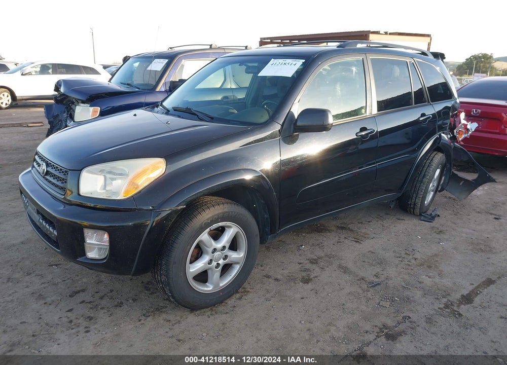 2002 TOYOTA RAV4 BASE (A4) VIN: JTEHH20VX20174353
