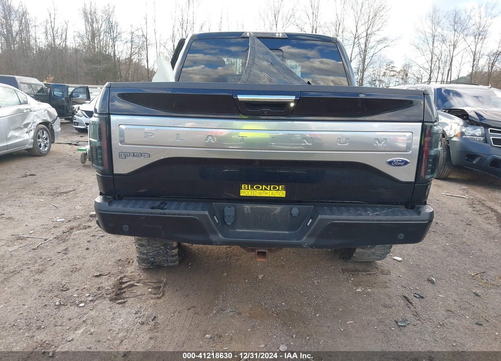 2016 FORD F-150 VIN: 1FTEW1EG4GFA00476