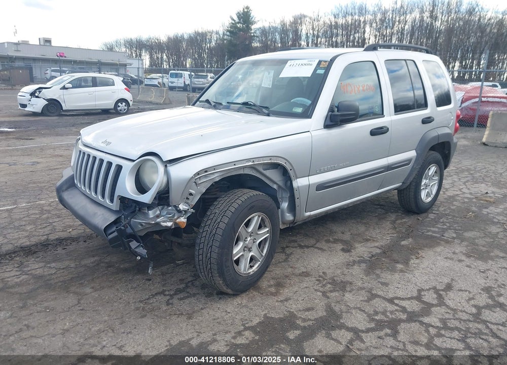 2003 JEEP LIBERTY VIN: 1J4GK48K43W689901