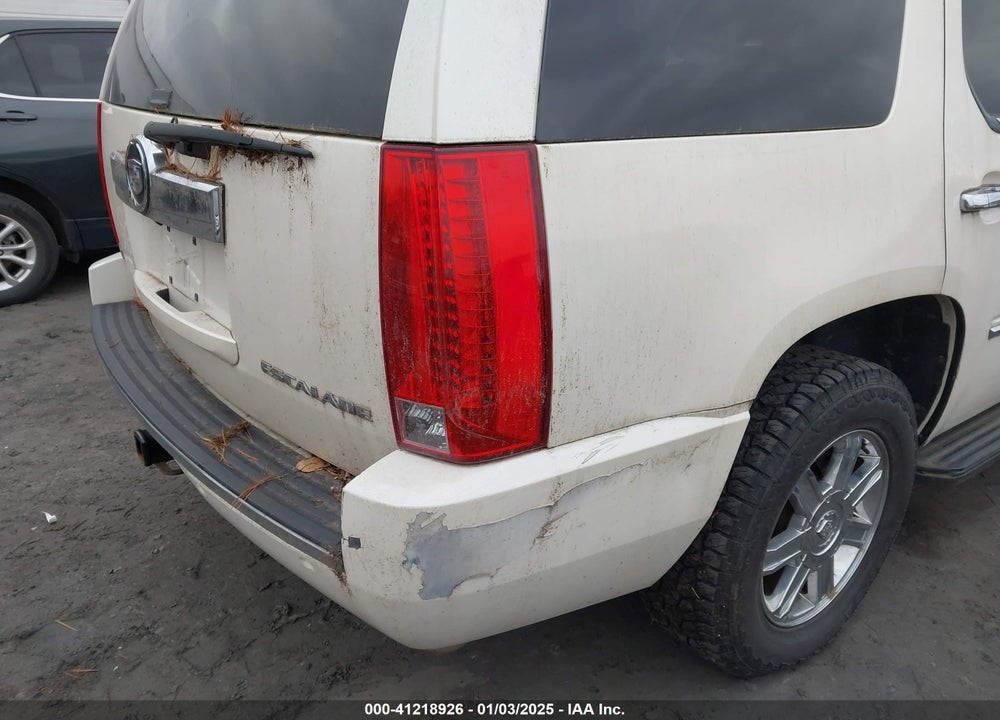 2009 CADILLAC ESCALADE STANDARD VIN: 1GYFK13299R119207