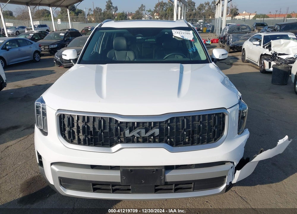 2024 KIA TELLURIDE EX VIN: 5XYP34GC3RG517099