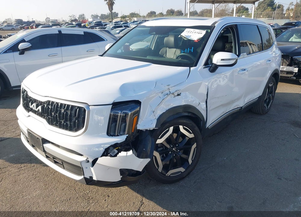 2024 KIA TELLURIDE EX VIN: 5XYP34GC3RG517099