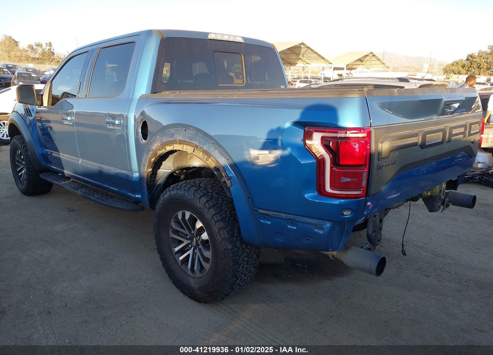 2019 FORD F-150 RAPTOR VIN: 1FTFW1RG1KFA06923