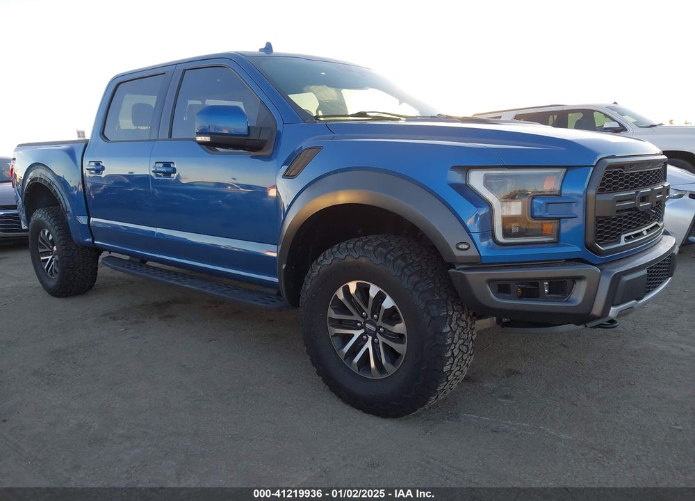 2019 FORD F-150 RAPTOR VIN: 1FTFW1RG1KFA06923