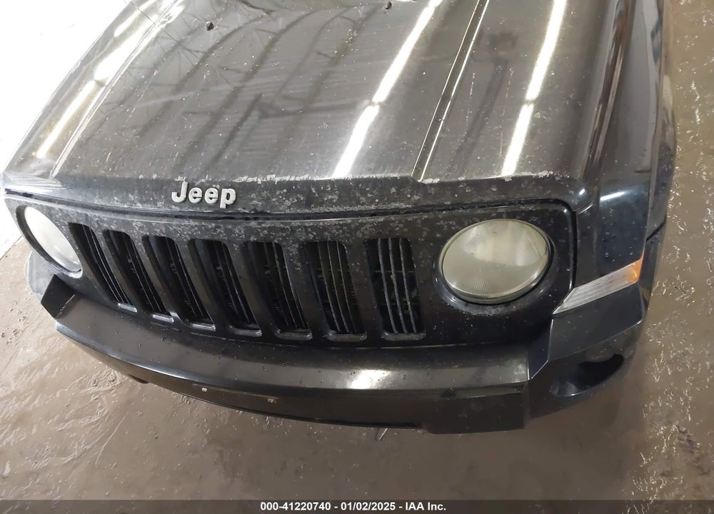 2010 JEEP PATRIOT LIMITED VIN: 1J4NF4GB7AD510918