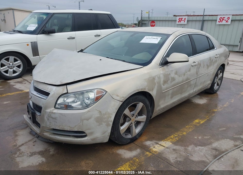 2011 CHEVROLET MALIBU VIN: 1G1ZC5E10BF356616