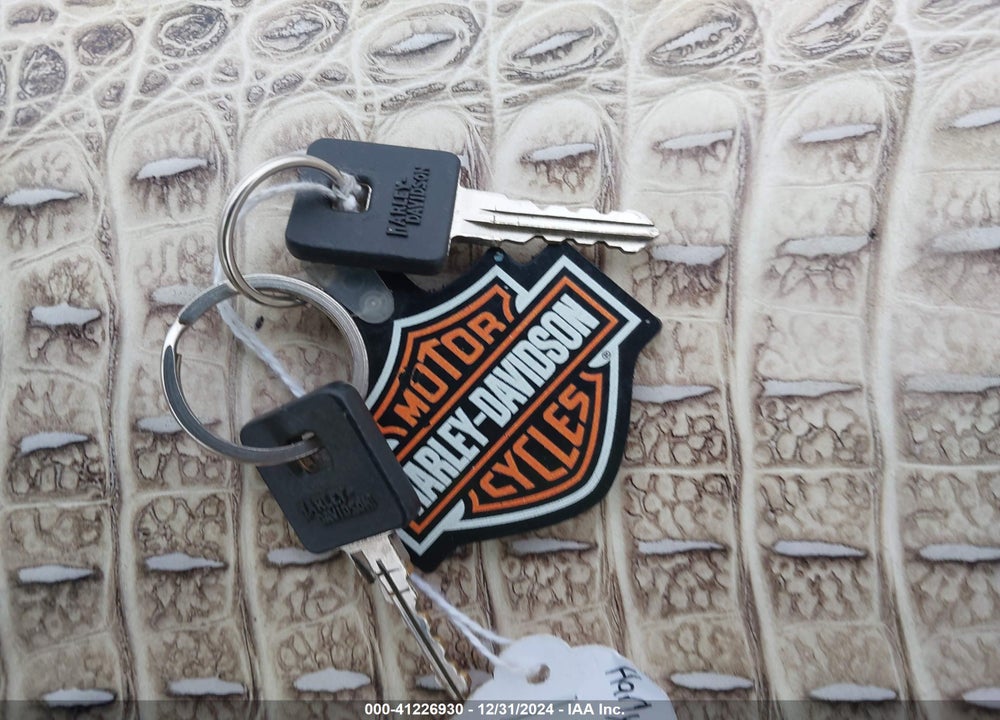2013 HARLEY-DAVIDSON XL1200 FORTY-EIGHT VIN: 1HD1LC311DC437509