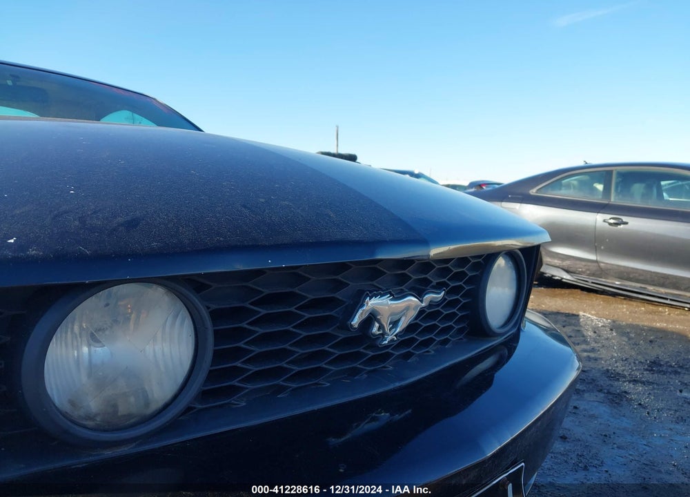 2007 FORD MUSTANG VIN: 1ZVFT82H975203935