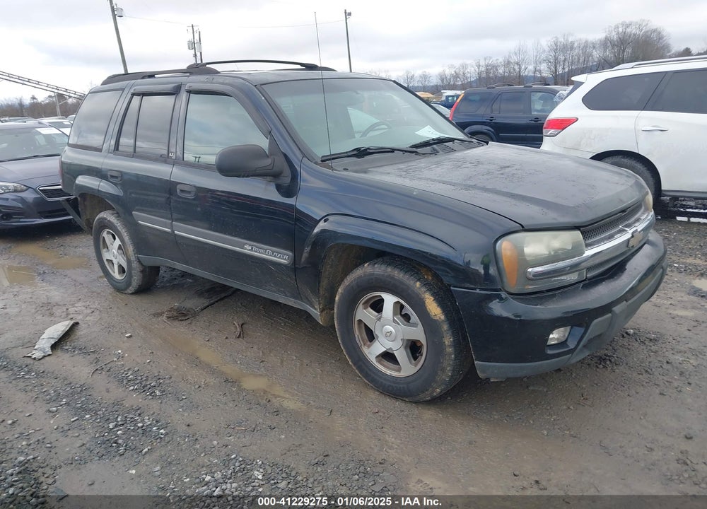 2002 CHEVROLET TRAILBLAZER LT VIN: 1GNDT13S722185786