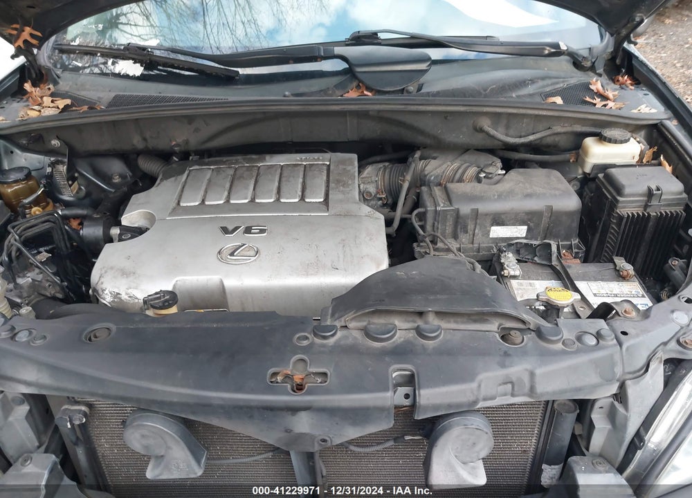 2007 LEXUS RX 350 VIN: 2T2HK31U97C043845