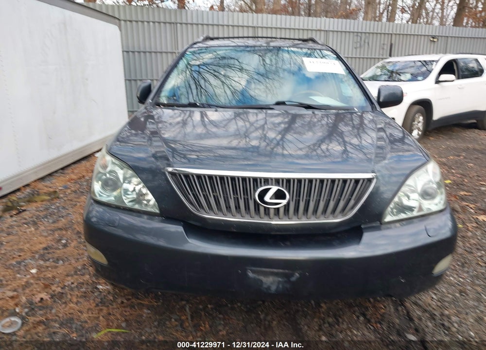 2007 LEXUS RX 350 VIN: 2T2HK31U97C043845