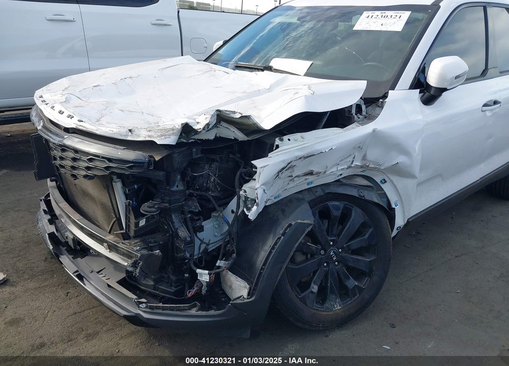 2021 KIA TELLURIDE S VIN: 5XYP64HCXMG142276