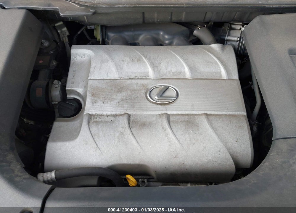 2010 LEXUS RX 350 VIN: JTJZK1BA7A2407684