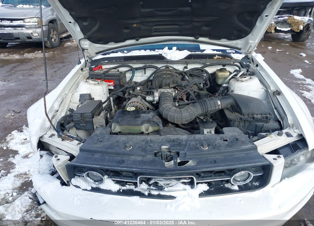 2008 FORD MUSTANG V6 DELUXE/V6 PREMIUM VIN: 1ZVHT80N585144739
