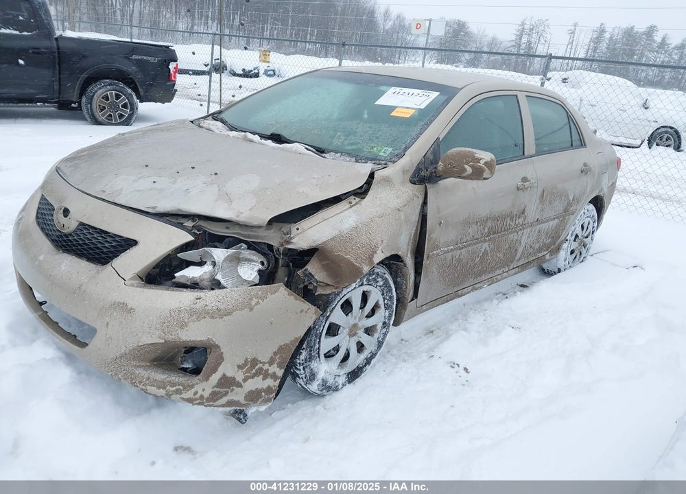 2010 TOYOTA COROLLA VIN: 2T1BU4EE6AC265747