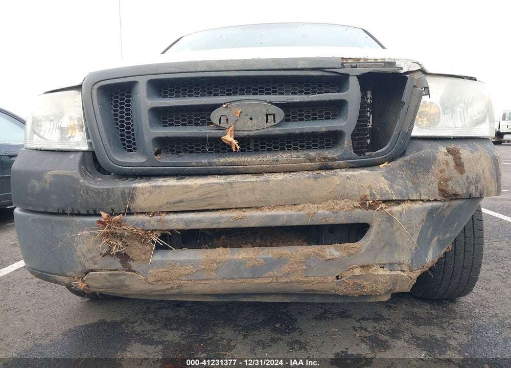 2006 FORD F-150 STX/XL/XLT VIN: 1FTRF12W36NA56734