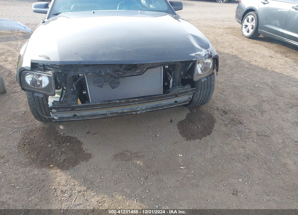 2006 FORD MUSTANG GT VIN: 1ZVFT82H165240282