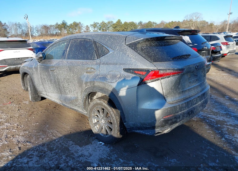 2019 LEXUS NX 300 VIN: JTJBARBZ3K2186076