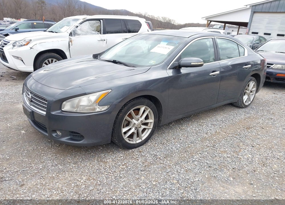 2009 NISSAN MAXIMA 3.5 SV VIN: 1N4AA51E09C816233