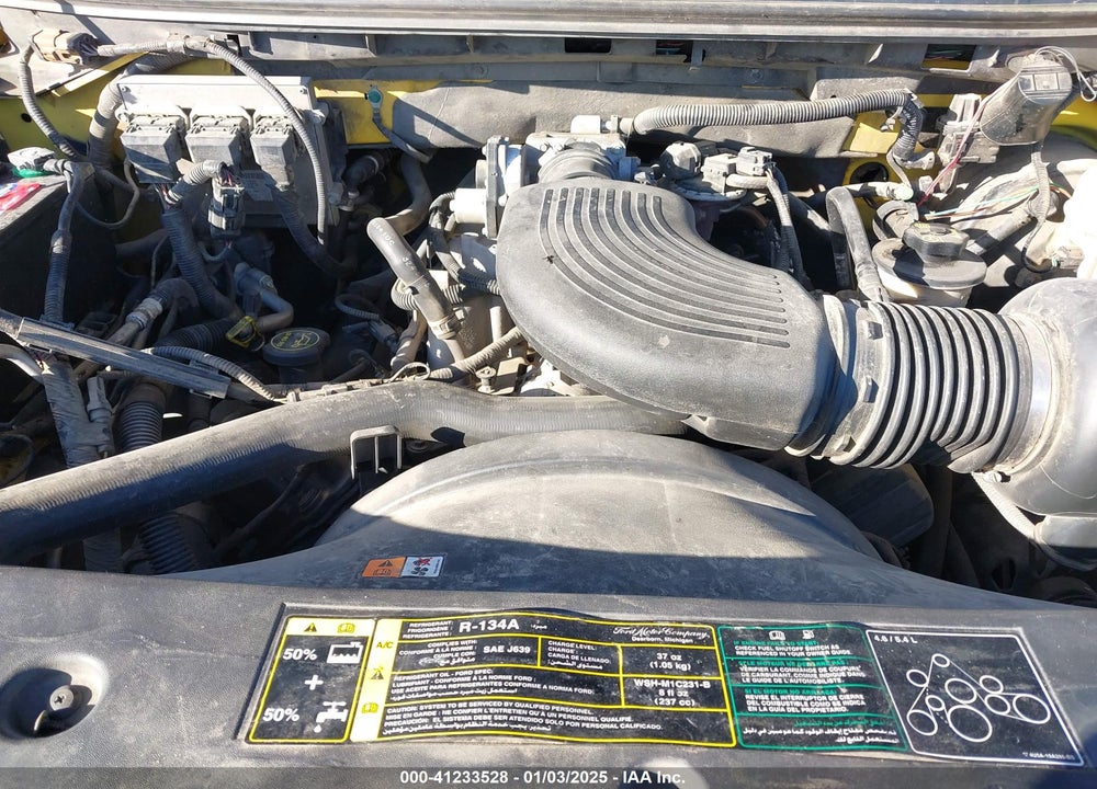 2004 FORD F-150 STX/XLT VIN: 1FTRF02W74KA09294