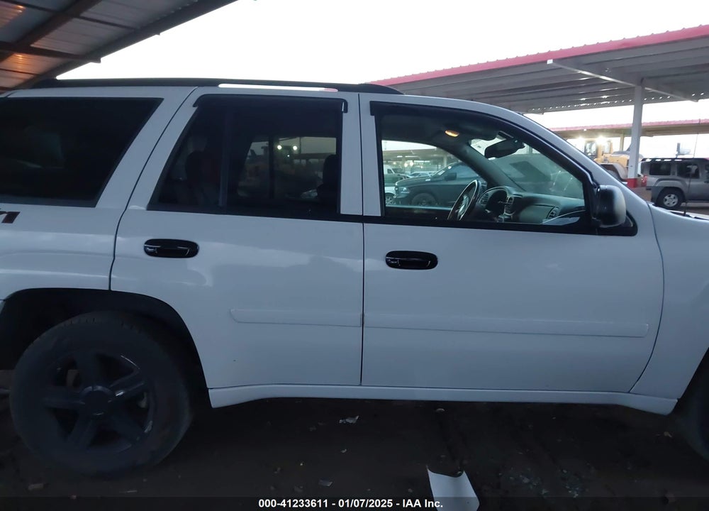 2007 CHEVROLET TRAILBLAZER VIN: 1GNDS13SX72294981