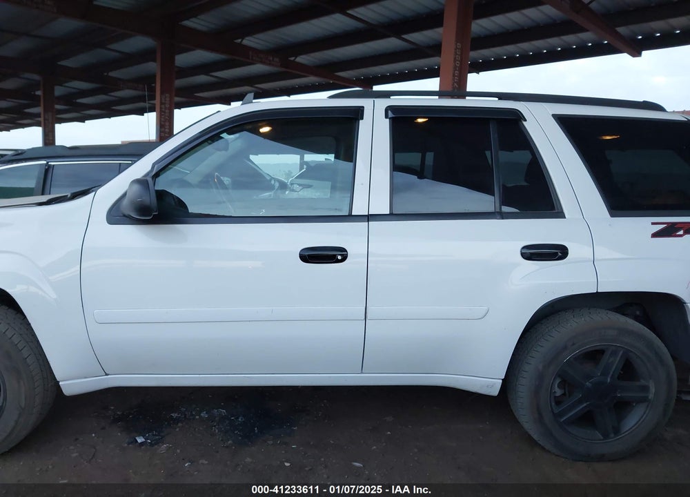2007 CHEVROLET TRAILBLAZER VIN: 1GNDS13SX72294981