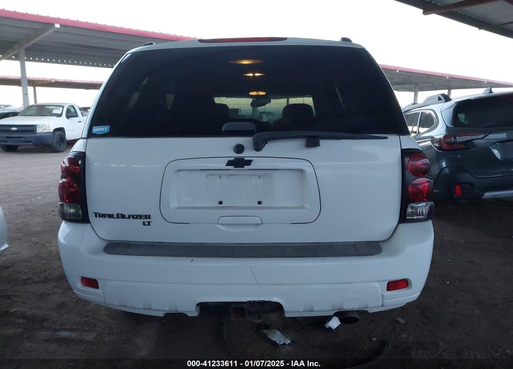2007 CHEVROLET TRAILBLAZER VIN: 1GNDS13SX72294981