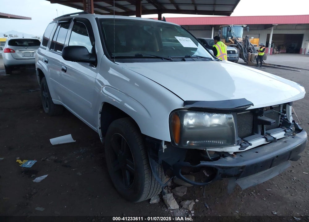 2007 CHEVROLET TRAILBLAZER VIN: 1GNDS13SX72294981