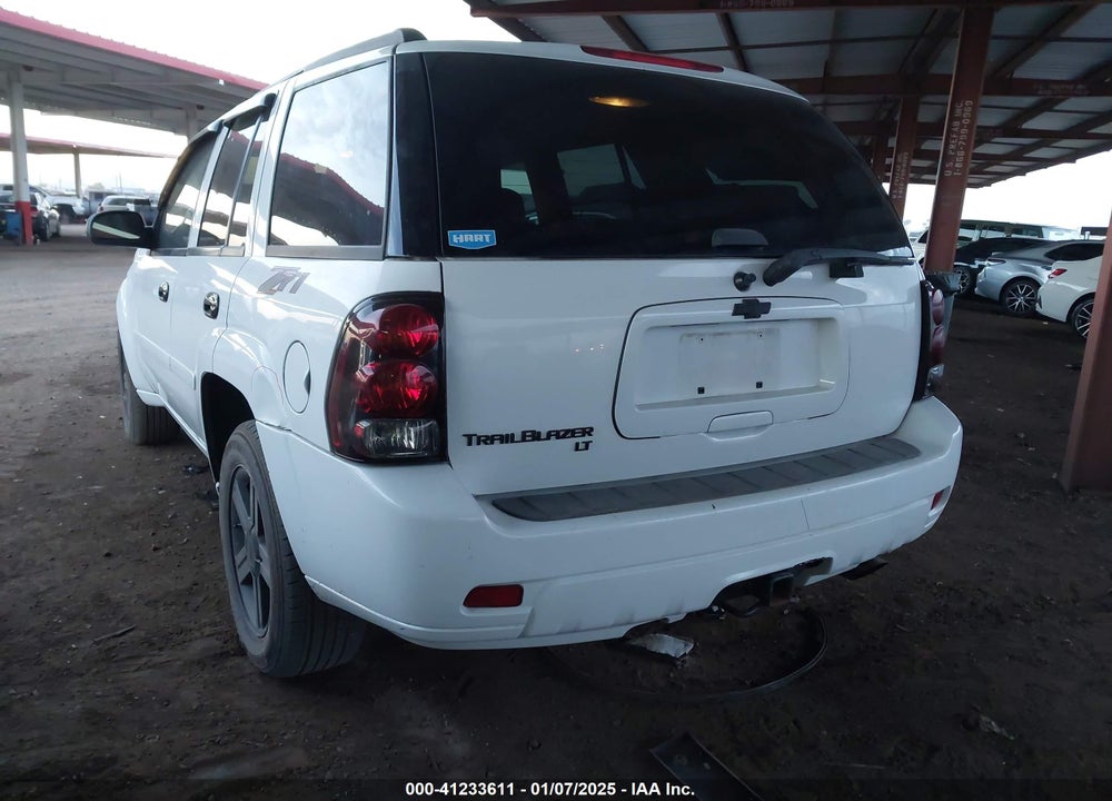 2007 CHEVROLET TRAILBLAZER VIN: 1GNDS13SX72294981