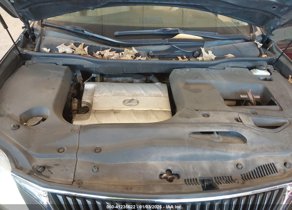 2010 LEXUS RX 350 BASE (A6) VIN: 2T2BK1BAXAC024016