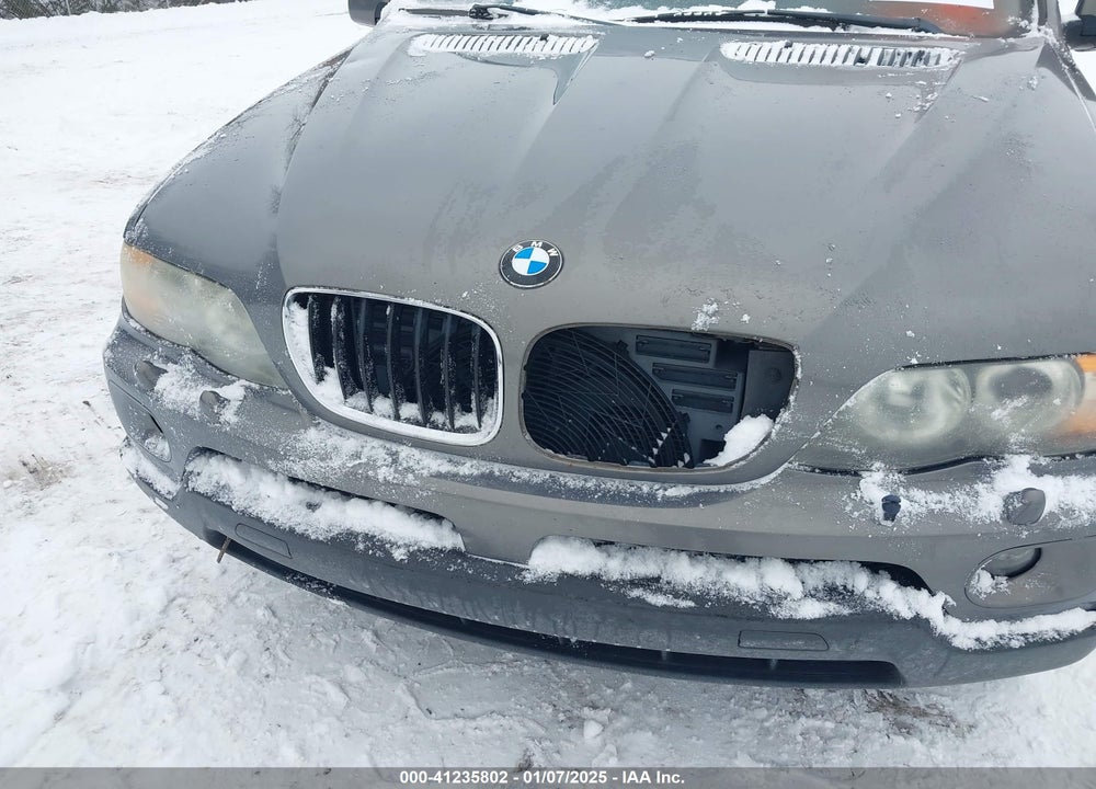 2006 BMW X5 3.0I VIN: 5UXFA135X6LY37302
