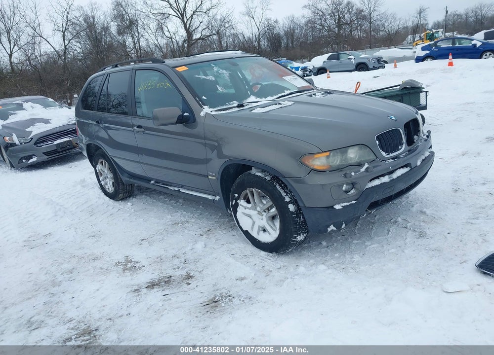 2006 BMW X5 3.0I VIN: 5UXFA135X6LY37302