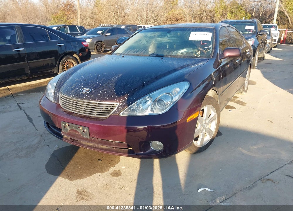 2006 LEXUS ES 330 VIN: JTHBA30G165144543