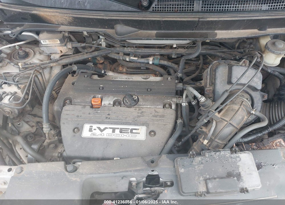 2006 HONDA ELEMENT EX-P VIN: 5J6YH28786L022581