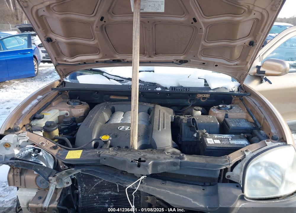 2003 HYUNDAI SANTA FE GLS/LX VIN: KM8SC73D13U517484