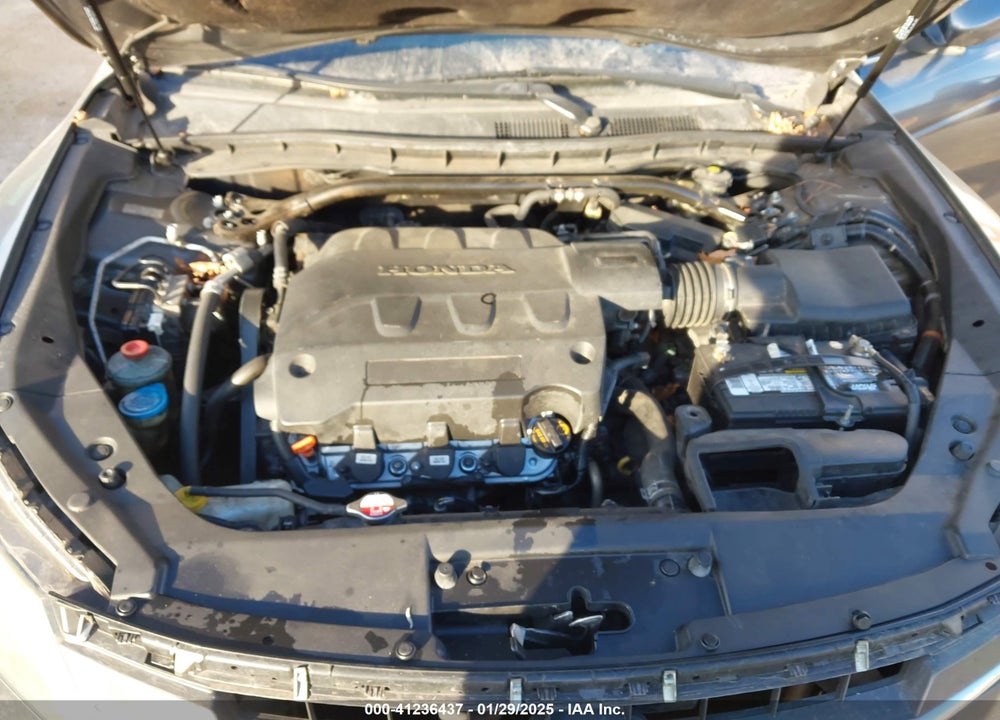 2010 HONDA ACCORD CROSSTOUR EX VIN: 5J6TF1H3XAL015311