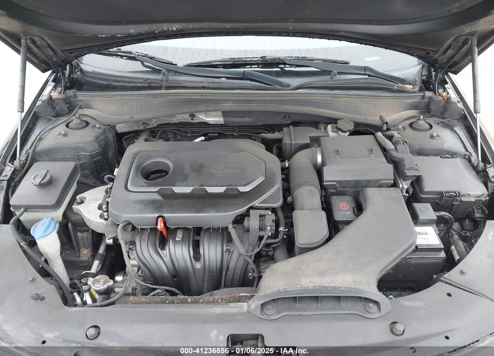2019 KIA OPTIMA VIN: 5XXGT4L38KG367166